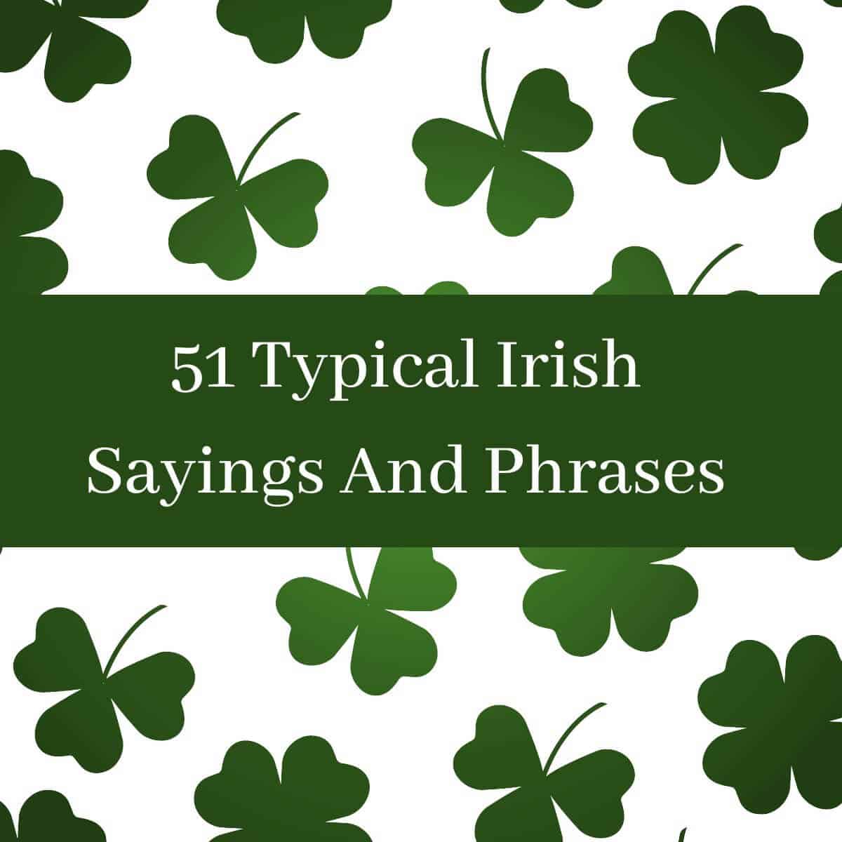 phrases for irish essays