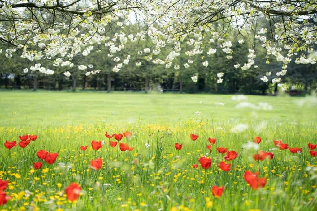 Ireland weather june july