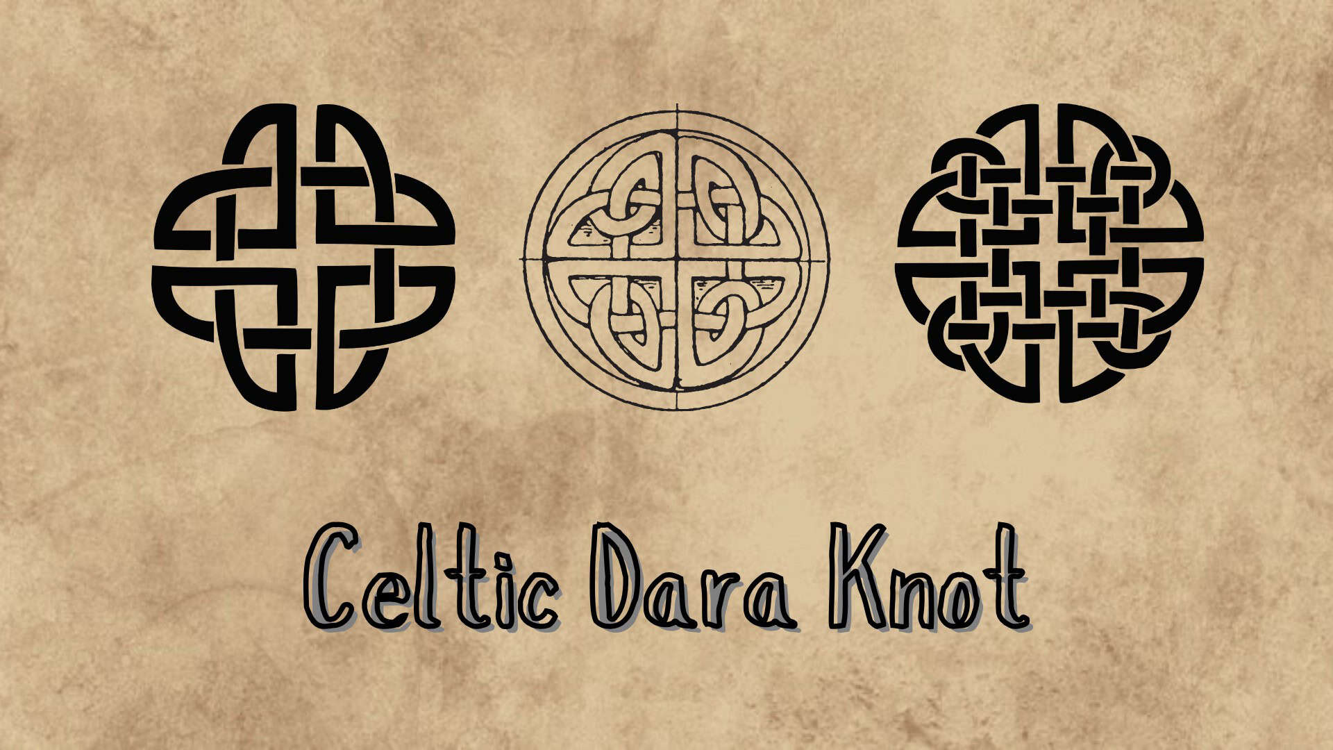 celtic dara knot