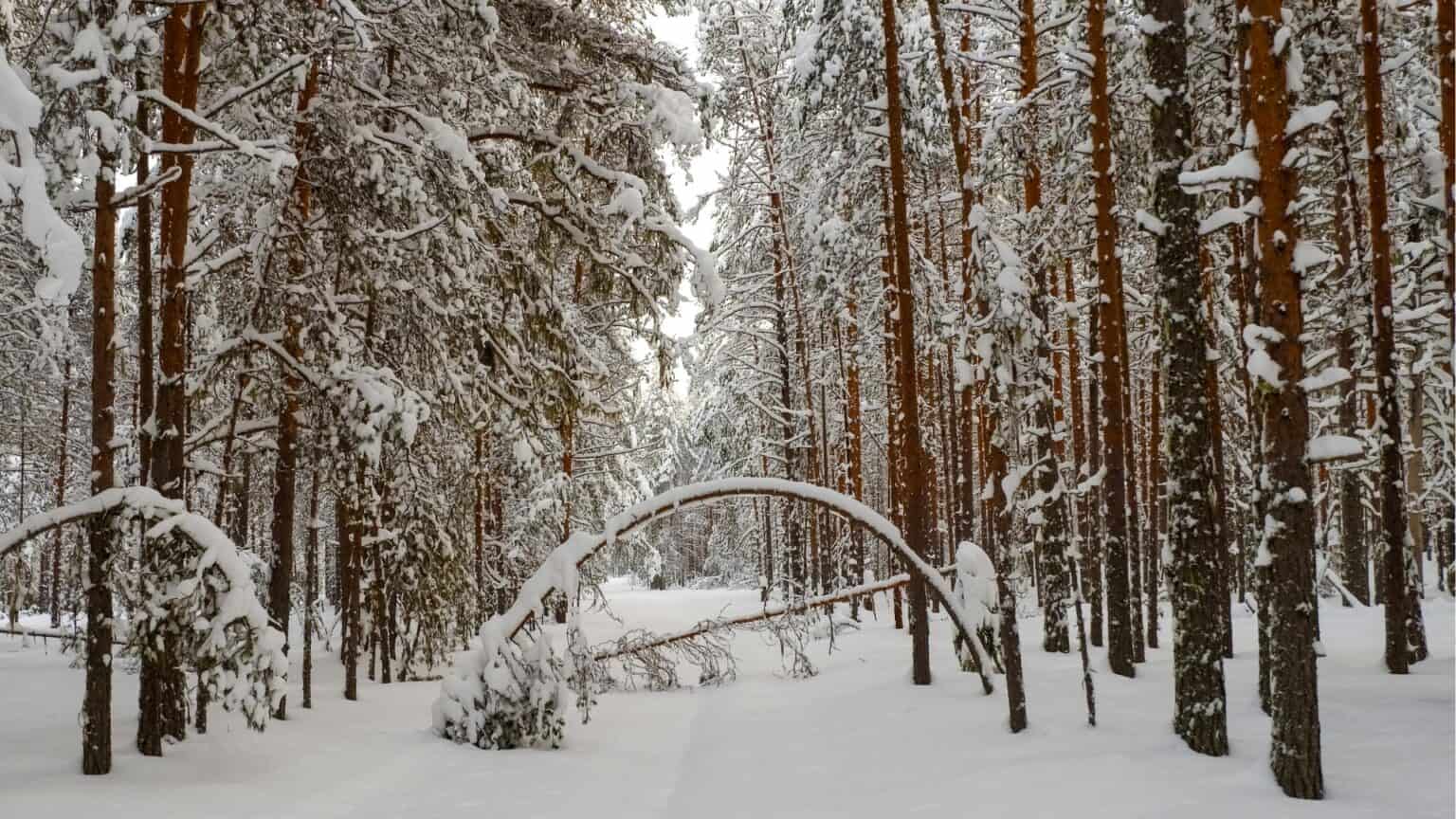 Iowa weather: December 2020 is 10th-snowiest December in Des Moines history