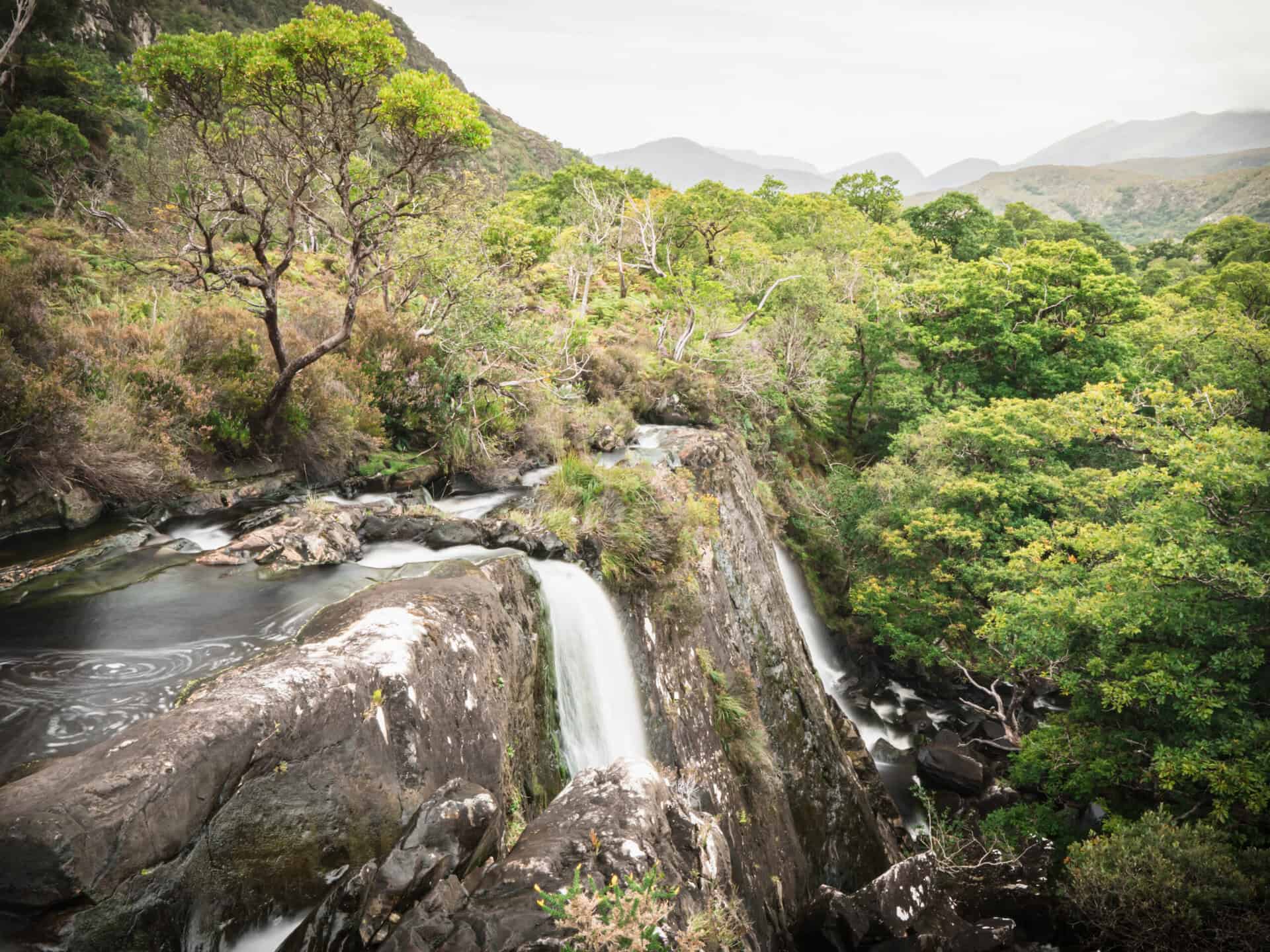 Killarney National Park Fire Blamed On Human Activity After Fast-Moving Blaze